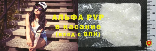 гашик Богданович