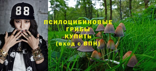 гашик Богданович