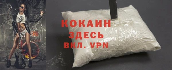 гашик Богданович