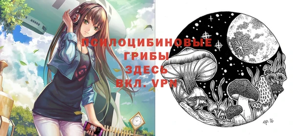 кокаин Богородицк