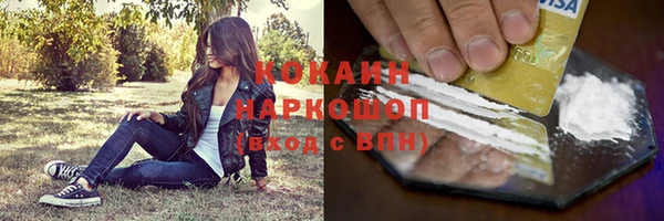 гашик Богданович